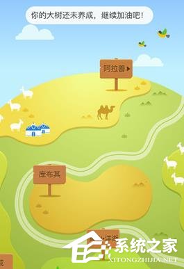 支付寶怎么在線(xiàn)上查看種樹(shù) 支付寶查看種樹(shù)的操作介紹