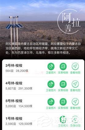 支付寶怎么在線(xiàn)上查看種樹(shù) 支付寶查看種樹(shù)的操作介紹