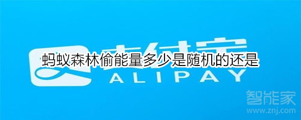 螞蟻森林偷能量多少是隨機的還是