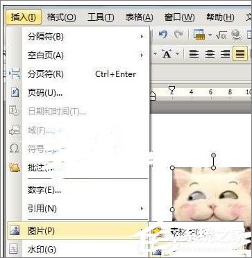WPS文字怎么制作自定義模板？WPS制作自定義模板的方法