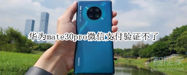 華為mate30pro微信支付驗證不了