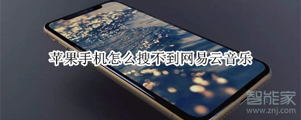 蘋果手機怎么搜不到網易云音樂