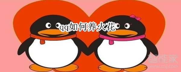 qq如何養火花
