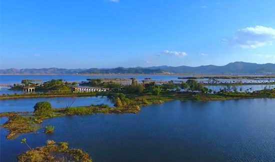 C、C++、Java到Python,編程入門(mén)學(xué)習(xí)什么語(yǔ)言比較好