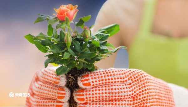 最吉利旺財的微信名 風水上最好的微信昵稱