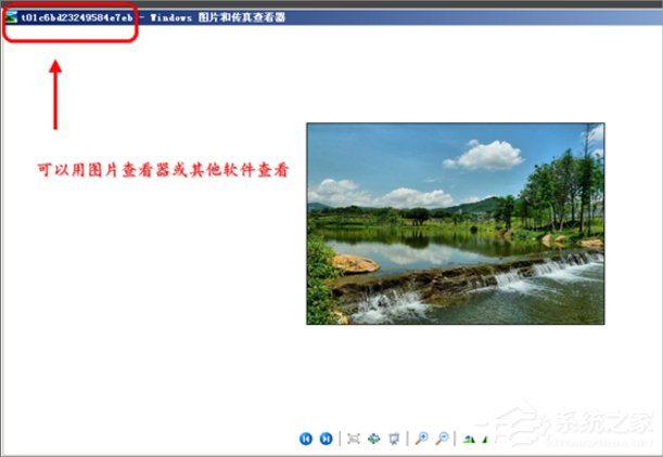 WinXP縮略圖不顯示文件名怎么辦？