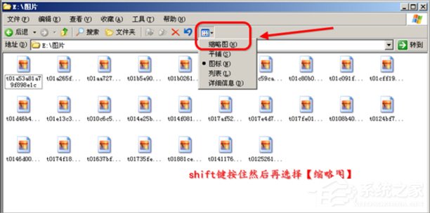 WinXP縮略圖不顯示文件名怎么辦？