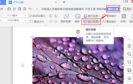word圖片柔化邊緣設置教程分享
