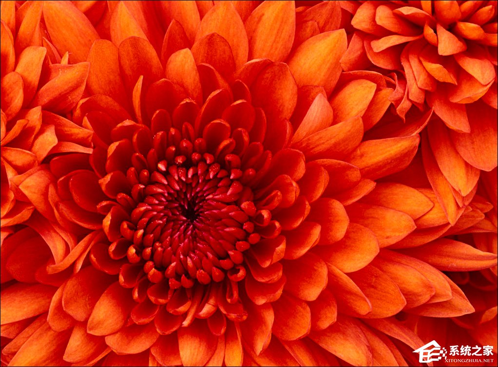 Win7屏保怎么設置？Win7屏幕保護程序如何打開？