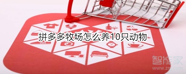 拼多多牧場怎么養10只動物