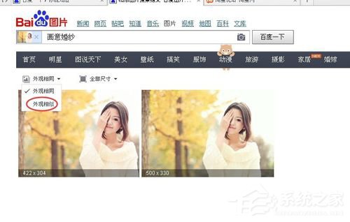 WinXP系統(tǒng)百度識圖怎么用？WinXP系統(tǒng)用百度識圖查找自己需要的圖片