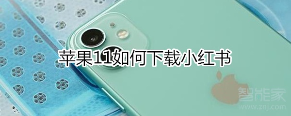 蘋果11如何下載小紅書