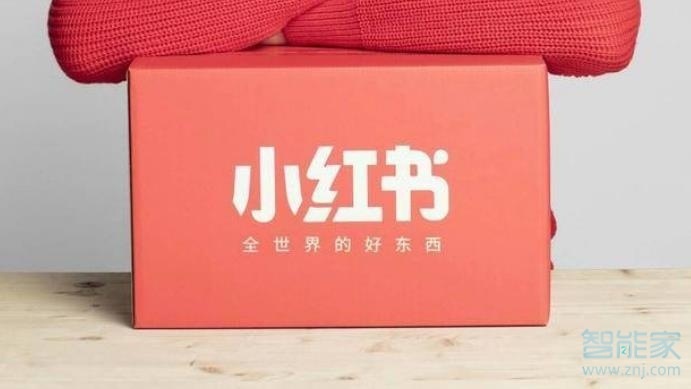 蘋果11如何下載小紅書