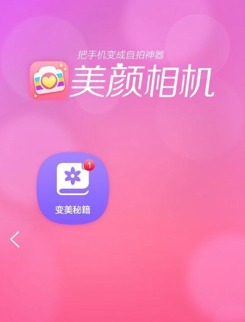 華為mate20x5G怎么設置美顏相機