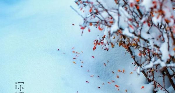 又是一年小寒日，小寒詩詞你可知？朋友圈文案有著落了