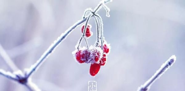 又是一年小寒日，小寒詩詞你可知？朋友圈文案有著落了