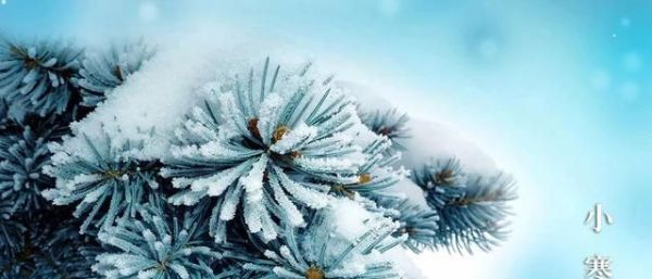 又是一年小寒日，小寒詩詞你可知？朋友圈文案有著落了