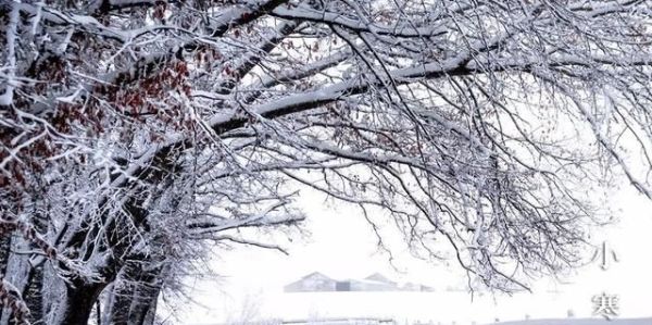又是一年小寒日，小寒詩詞你可知？朋友圈文案有著落了