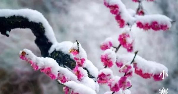 又是一年小寒日，小寒詩詞你可知？朋友圈文案有著落了