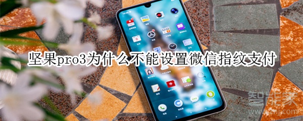 堅果pro3為什么不能設(shè)置微信指紋支付