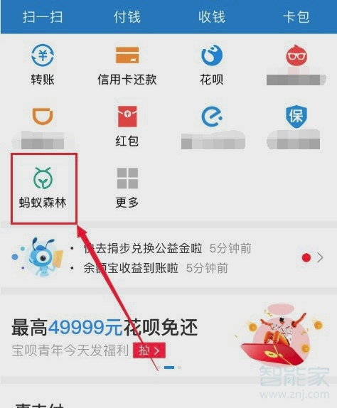 支付寶螞蟻森林怎么換樹的圖案