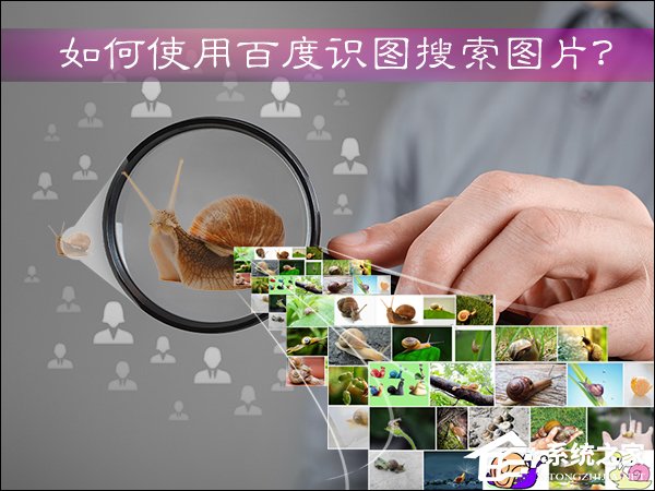 如何使用百度識(shí)圖搜索圖片？百度識(shí)圖怎么用？
