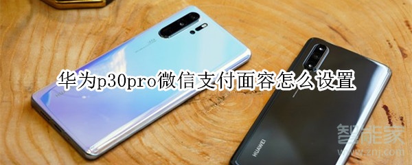 華為p30pro微信支付面容怎么設置