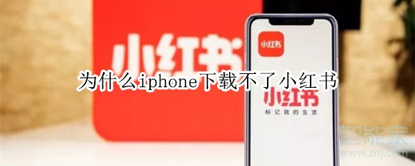 為什么iphone下載不了小紅書