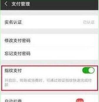 榮耀20s怎么設(shè)置微信指紋支付