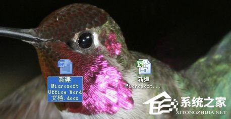 Word中使用郵件合并的方法