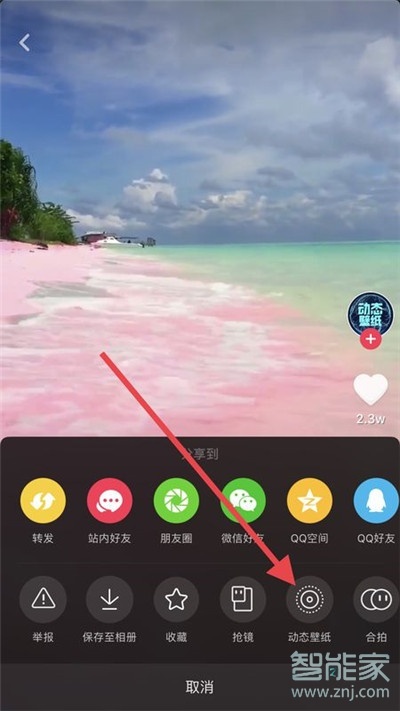iphone11Pro怎么設(shè)置抖音動(dòng)態(tài)壁紙