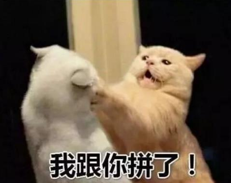 抖音新農合是什么意思？新農合干一架是什么梗