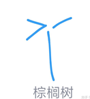 QQ畫圖紅包棕桐樹怎么畫 QQ畫圖紅包棕桐樹最簡畫法分享