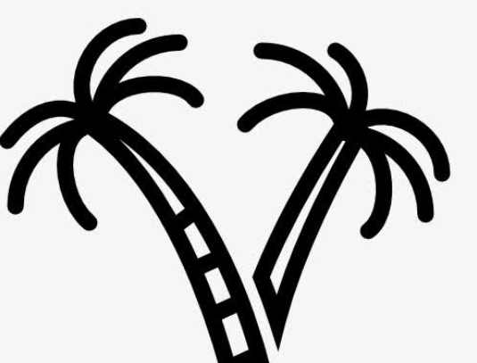 QQ畫圖紅包棕桐樹怎么畫 QQ畫圖紅包棕桐樹最簡畫法分享