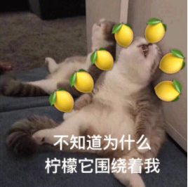 QQ一起聽(tīng)歌是什么？「一起聽(tīng)歌」功能開(kāi)啟方法分享