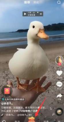 怎么填抖音極速版邀請碼？抖音極速版邀請碼填寫方法詳解