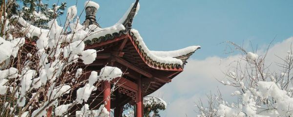 關(guān)于雪的發(fā)朋友圈句子 關(guān)于雪的朋友圈說說