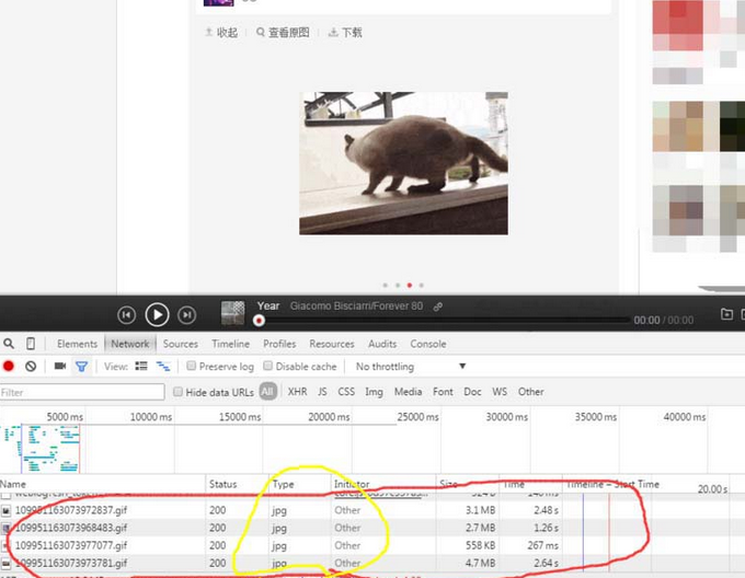 網(wǎng)易云音樂gif動圖怎么下載保存？下載保存gif動圖步驟分享
