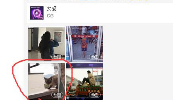 網(wǎng)易云音樂gif動圖怎么下載保存？下載保存gif動圖步驟分享