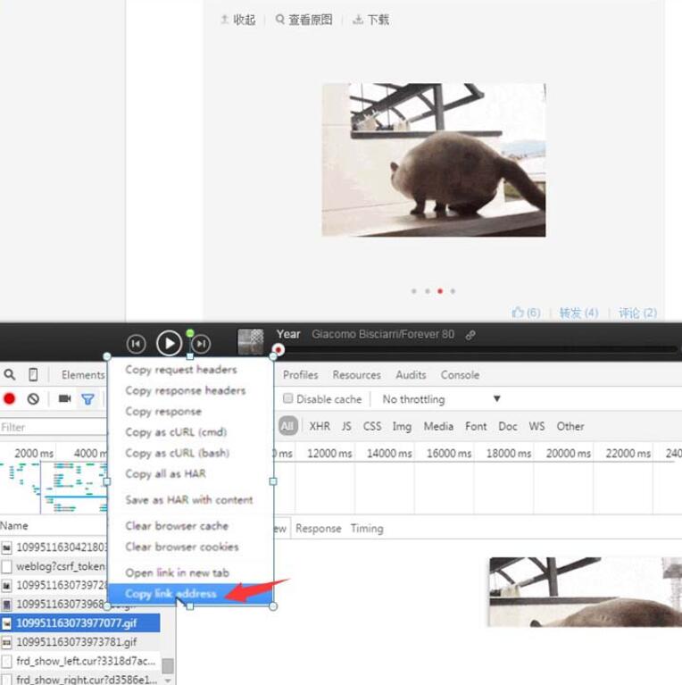 網(wǎng)易云音樂gif動圖怎么下載保存？下載保存gif動圖步驟分享
