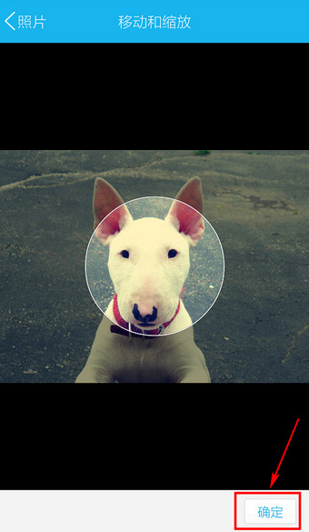 QQ如何設置頭像？QQ設置頭像流程說明