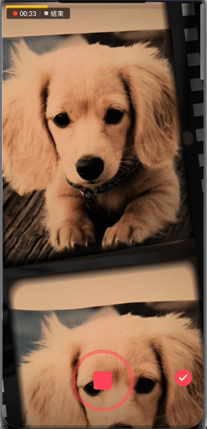 抖音APP怎么拍出四連拍特效？四連拍特效拍攝步驟一覽