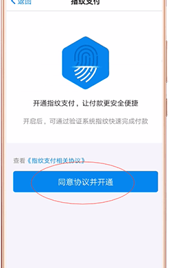 淘寶如何設置指紋支付？設置指紋支付方法說明