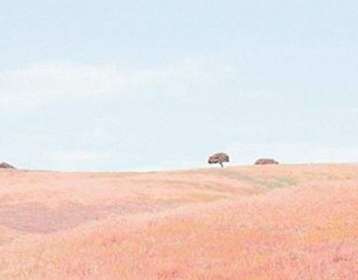 剪映怎么添加照片 剪映添加照片步驟一覽