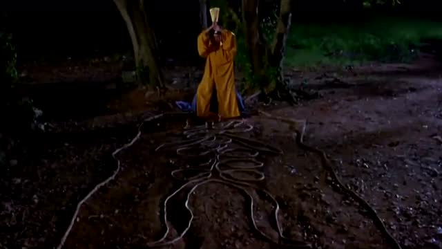 抖音最火林正英鎮圖圖片有哪些_抖音很火的圖片林正英分享