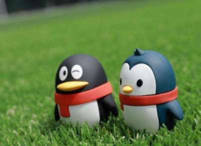 qq如何自定義5G在線狀態(tài)？ qq設(shè)置5g在線狀態(tài)方法一覽