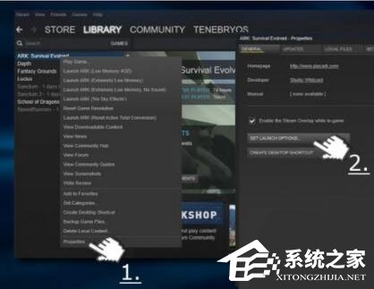 Win10玩生存進化報錯“視頻驅(qū)動程序崩潰并被重置”怎么解決？