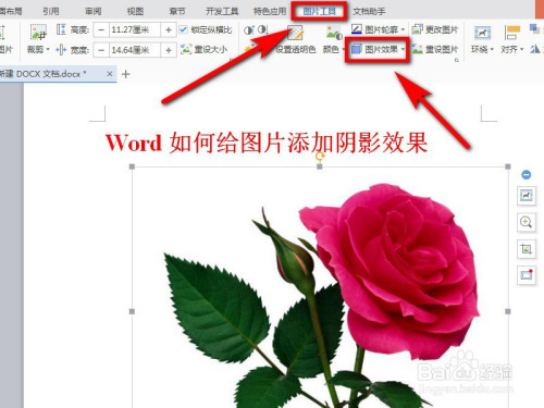 怎么給Word圖片加陰影