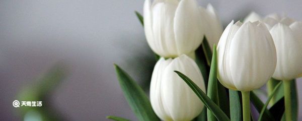 感慨人生的句子 適合發朋友圈的人生感悟句子