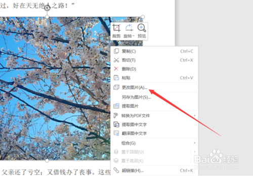 word里如何更換圖片